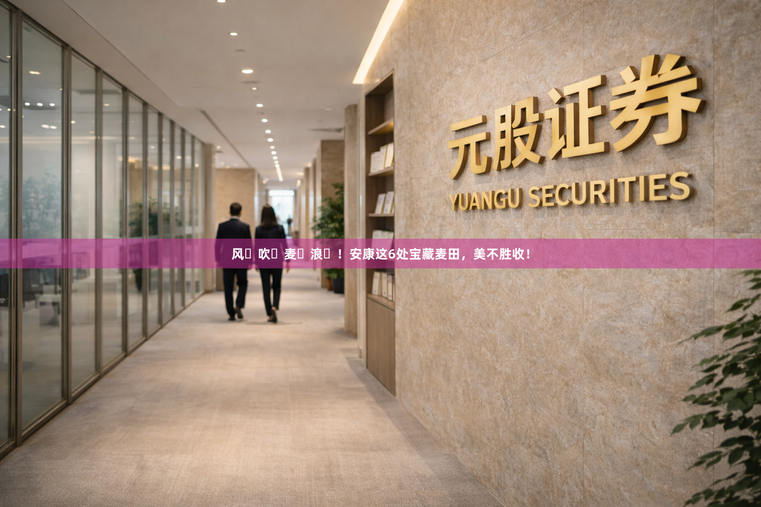 风࿐吹࿐麦࿐浪࿐！安康这6处宝藏麦田，美不胜收！