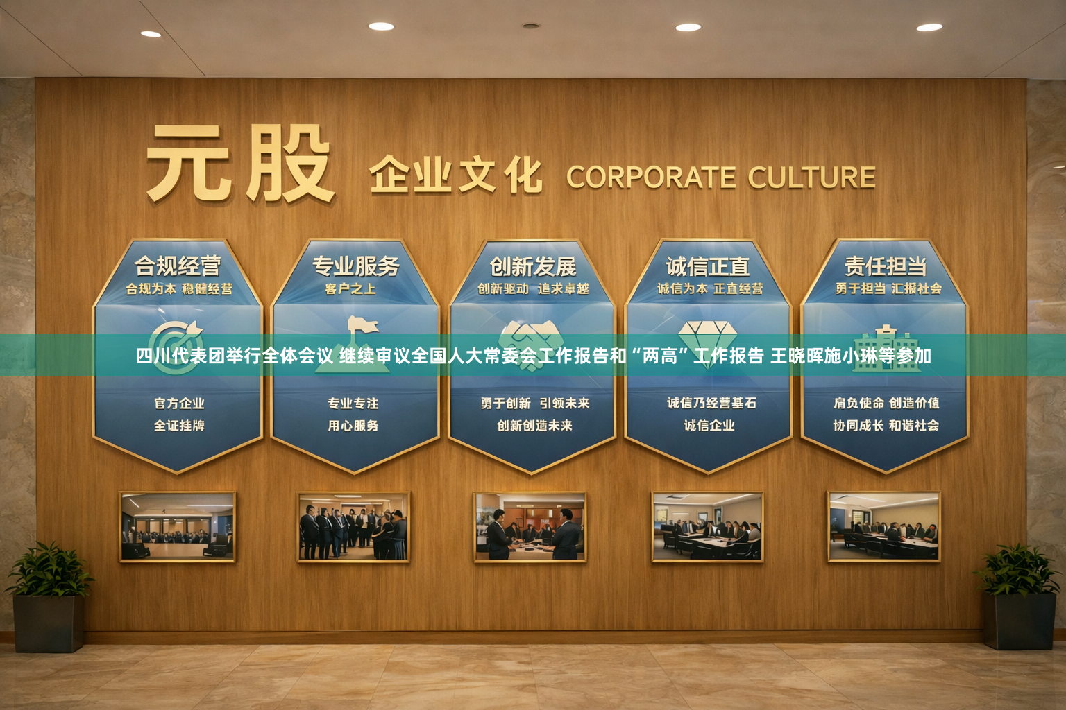 四川代表团举行全体会议 继续审议全国人大常委会工作报告和“两高”工作报告 王晓晖施小琳等参加