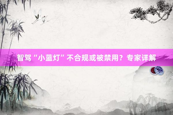 智驾“小蓝灯”不合规或被禁用?专家详解