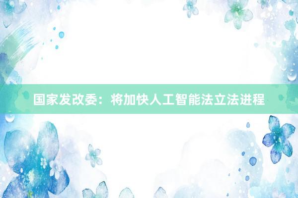 国家发改委：将加快人工智能法立法进程