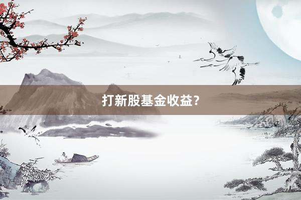 打新股基金收益？