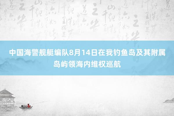 中国海警舰艇编队8月14日在我钓鱼岛及其附属岛屿领海内维权巡航