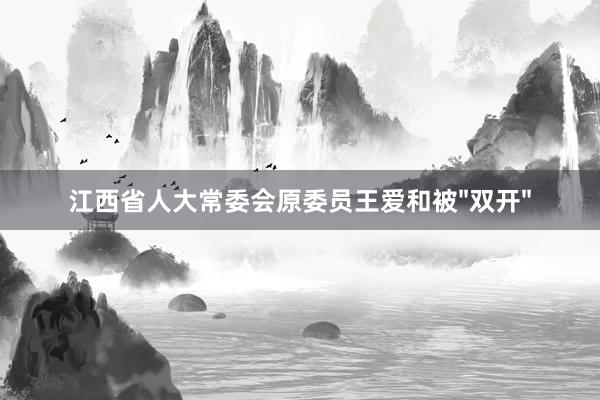 江西省人大常委会原委员王爱和被"双开"