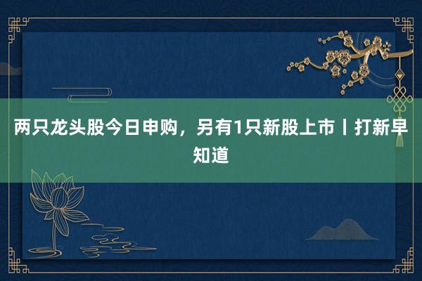 两只龙头股今日申购，另有1只新股上市丨打新早知道