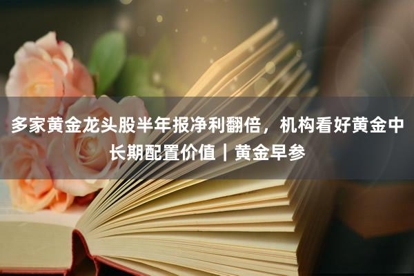 多家黄金龙头股半年报净利翻倍，机构看好黄金中长期配置价值｜黄金早参