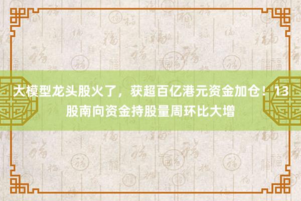 大模型龙头股火了,获超百亿港元资金加仓!13股南向资金持股量周环比大增