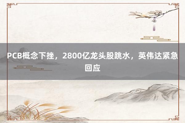 PCB概念下挫，2800亿龙头股跳水，英伟达紧急回应