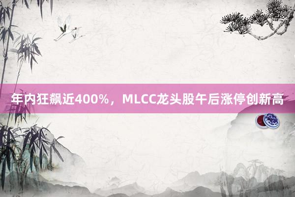 年内狂飙近400%，MLCC龙头股午后涨停创新高