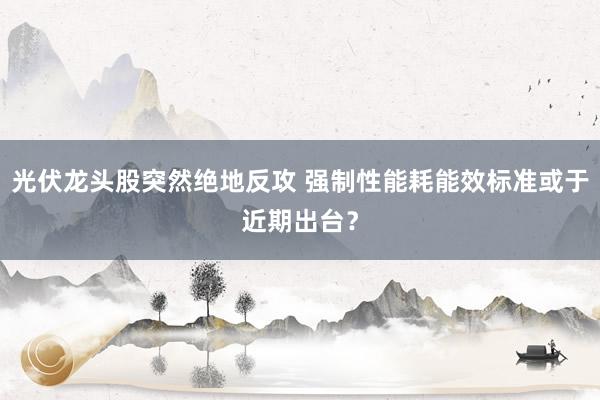 光伏龙头股突然绝地反攻 强制性能耗能效标准或于近期出台？