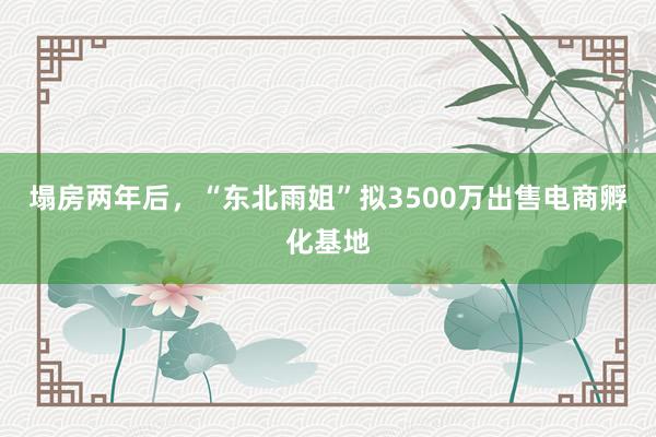 塌房两年后，“东北雨姐”拟3500万出售电商孵化基地