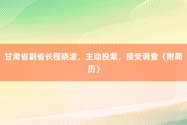 甘肃省副省长程晓波，主动投案，接受调查（附简历）