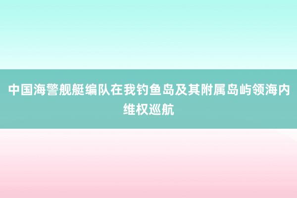 中国海警舰艇编队在我钓鱼岛及其附属岛屿领海内维权巡航
