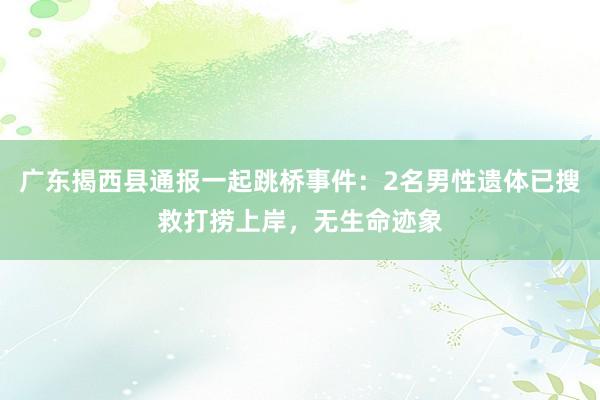 广东揭西县通报一起跳桥事件：2名男性遗体已搜救打捞上岸，无生命迹象