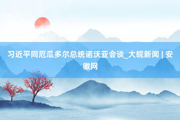习近平同厄瓜多尔总统诺沃亚会谈_大皖新闻 | 安徽网