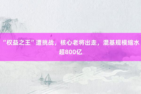 “权益之王”遭挑战，核心老将出走，混基规模缩水超800亿