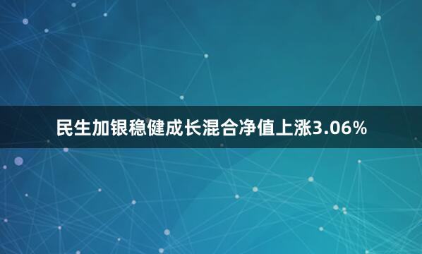 民生加银稳健成长混合净值上涨3.06%