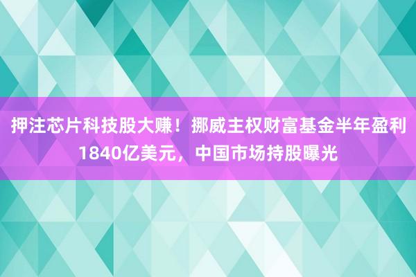 押注芯片科技股大赚！挪威主权财富基金半年盈利1840亿美元，中国市场持股曝光