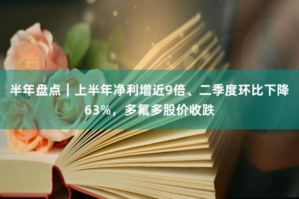 半年盘点｜上半年净利增近9倍、二季度环比下降63%，多氟多股价收跌