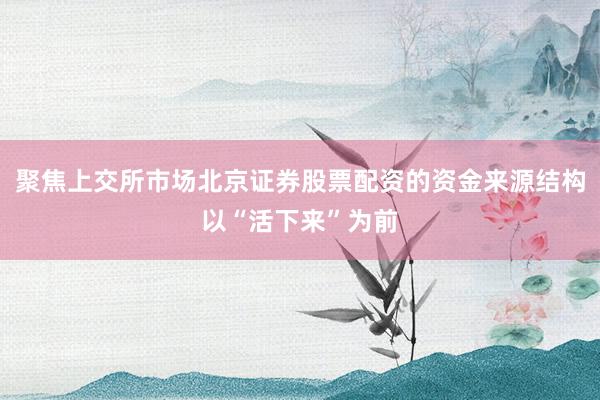 聚焦上交所市场北京证券股票配资的资金来源结构以“活下来”为前