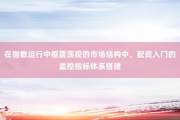 在指数运行中枢震荡段的市场结构中，配资入门的监控指标体系搭建