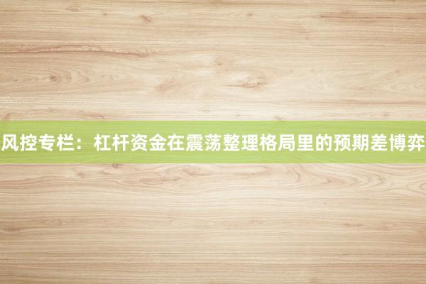 风控专栏：杠杆资金在震荡整理格局里的预期差博弈