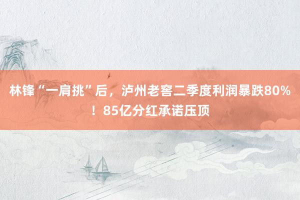 林锋“一肩挑”后，泸州老窖二季度利润暴跌80%！85亿分红承诺压顶