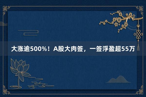 大涨逾500%！A股大肉签，一签浮盈超55万