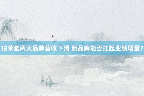 珀莱雅两大品牌营收下滑 新品牌能否扛起业绩增量？