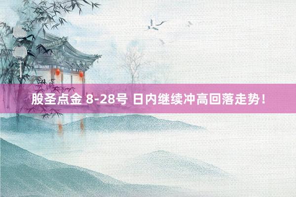 股圣点金 8-28号 日内继续冲高回落走势！