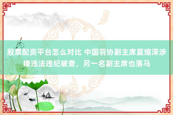 股票配资平台怎么对比 中国羽协副主席夏煊泽涉嫌违法违纪被查，另一名副主席也落马