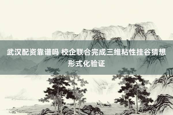 武汉配资靠谱吗 校企联合完成三维粘性挂谷猜想形式化验证