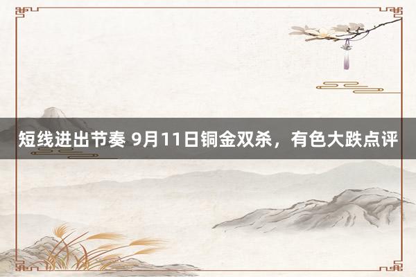 短线进出节奏 9月11日铜金双杀，有色大跌点评