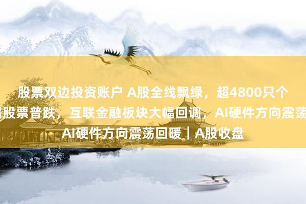 股票双边投资账户 A股全线飘绿，超4800只个股下跌！贵金属股票普跌，互联金融板块大幅回调，AI硬件方向震荡回暖｜A股收盘