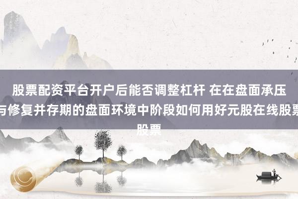 股票配资平台开户后能否调整杠杆 在在盘面承压与修复并存期的盘面环境中阶段如何用好元股在线股票