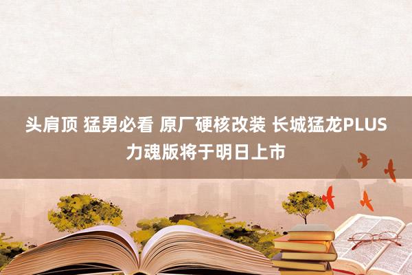 头肩顶 猛男必看 原厂硬核改装 长城猛龙PLUS力魂版将于明日上市