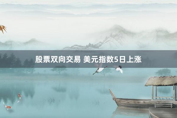 股票双向交易 美元指数5日上涨