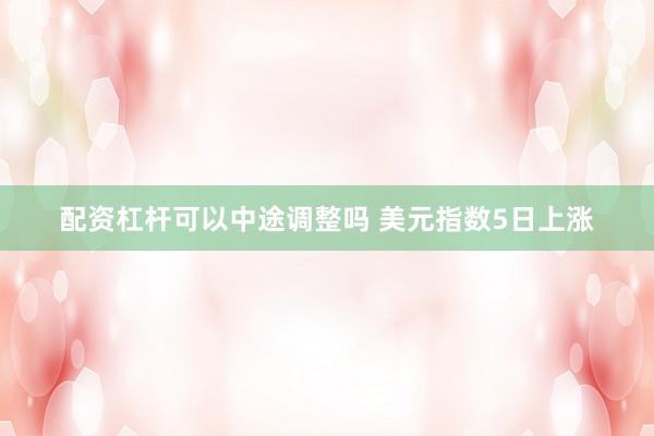 配资杠杆可以中途调整吗 美元指数5日上涨