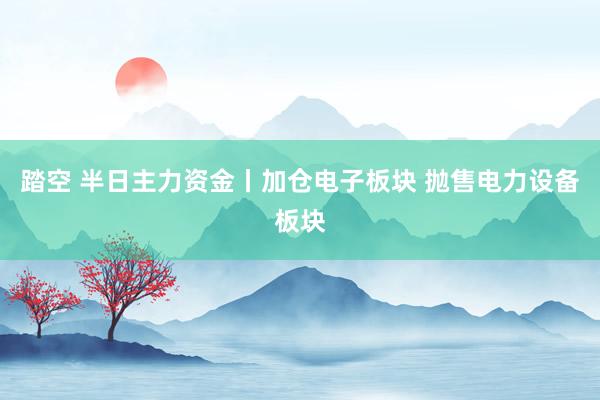 踏空 半日主力资金丨加仓电子板块 抛售电力设备板块