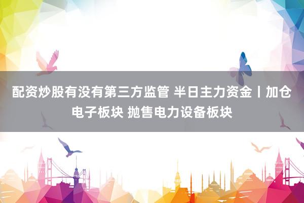 配资炒股有没有第三方监管 半日主力资金丨加仓电子板块 抛售电力设备板块