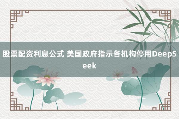 股票配资利息公式 美国政府指示各机构停用DeepSeek