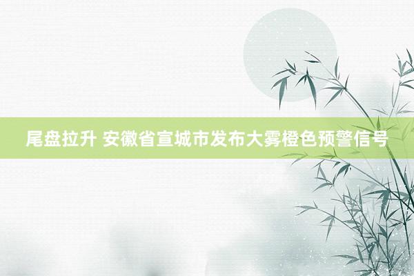 尾盘拉升 安徽省宣城市发布大雾橙色预警信号